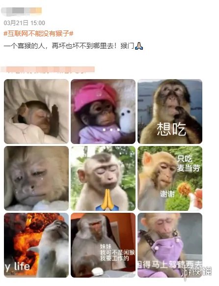 X门,更适合中国宝宝体质的善恶观