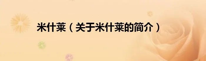 米什莱（关于米什莱的简介）