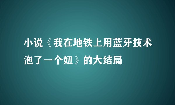 小说《我在地铁上用蓝牙技术泡了一个妞》的大结局
