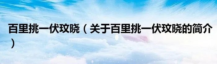 百里挑一伏玟晓（关于百里挑一伏玟晓的简介）