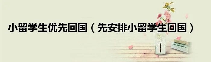 小留学生优先回国(先安排小留学生回国)