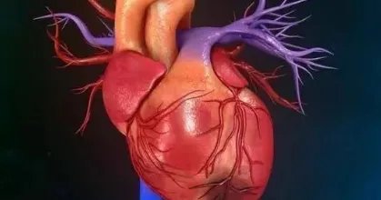 装支架就废了?北京安贞医院心内科专家带您走出误区!!