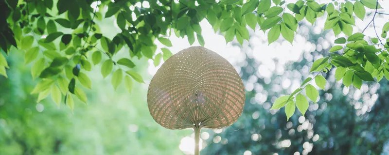 最早的扇子是用什么做的