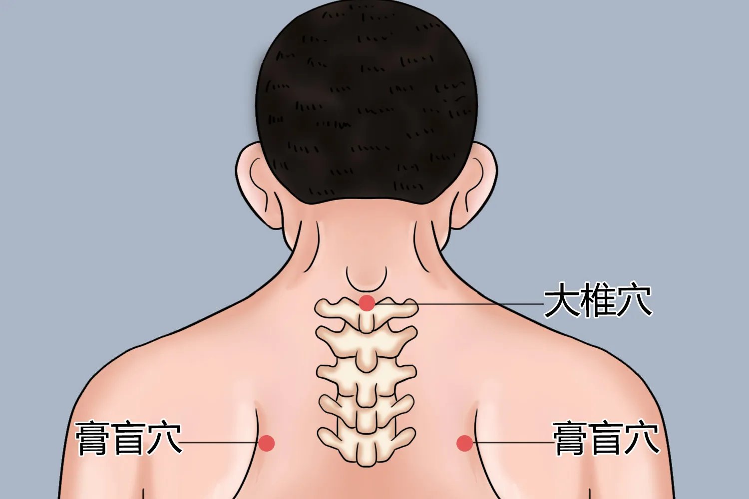 膏肓的准确位置图和作用功效