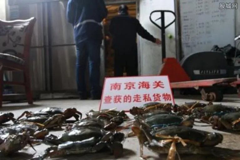破获走私海蟹大案 摧毁两个犯罪团伙涉案金额惊人