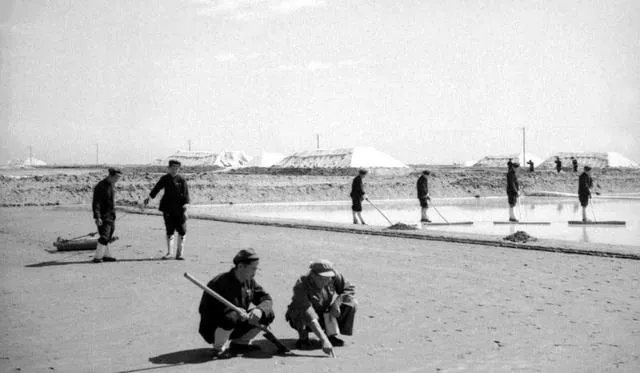 天津土著啥意思