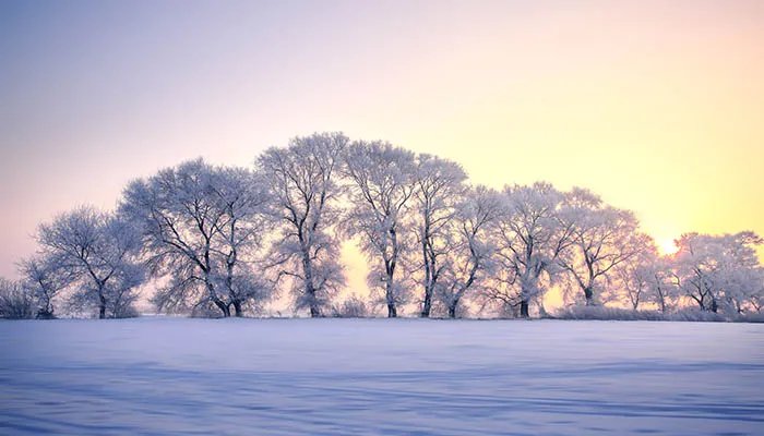 一九二九是什么节气 一九二九属于什么节气