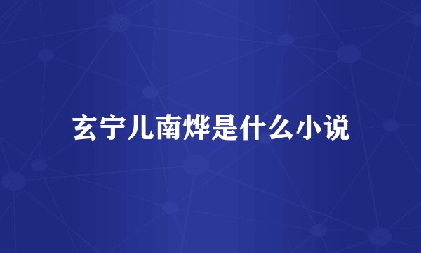 玄宁儿南烨是什么小说