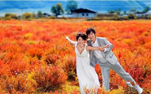 新婚旅游去哪里好 国内几大景点推荐