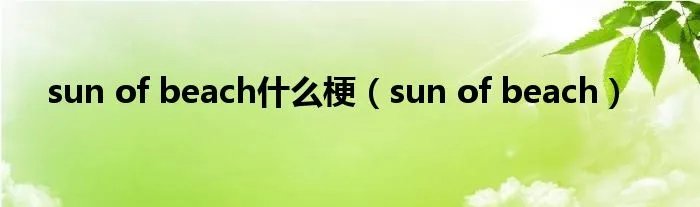 sun of beach什么梗（sun of beach）