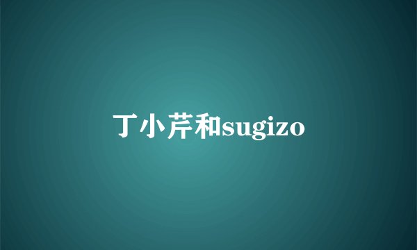 丁小芹和sugizo