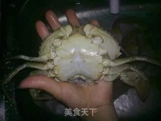 美味又营养--清蒸大螃蟹
