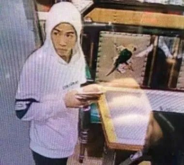 通辽市刑事案件嫌犯张立东在逃，该嫌疑人犯了什么罪？