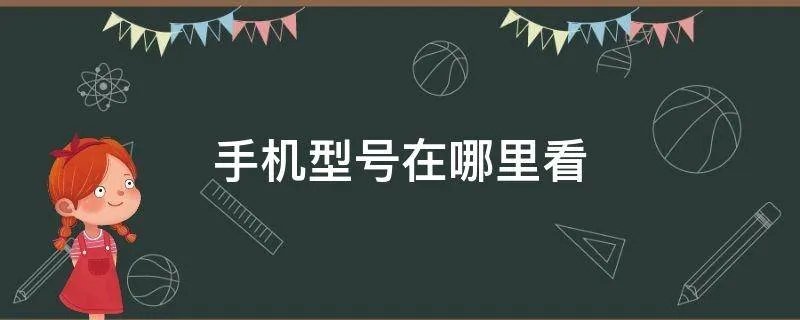 手机型号在哪里看