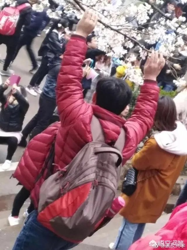 男子武大校园剧烈摇动樱花树，如何有效制止此类行为？