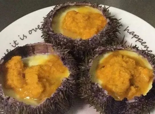 三亚海胆蒸蛋事件当事人道歉,这具体是怎么回事?