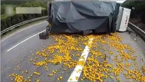 货车侧翻蜜桔遭抢 货车司机阻拦被打