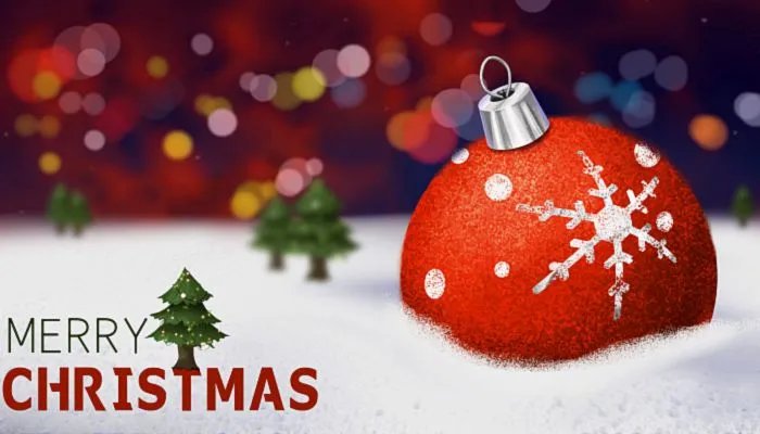 平安夜吃的苹果叫什么 平安夜吃的苹果叫平安果