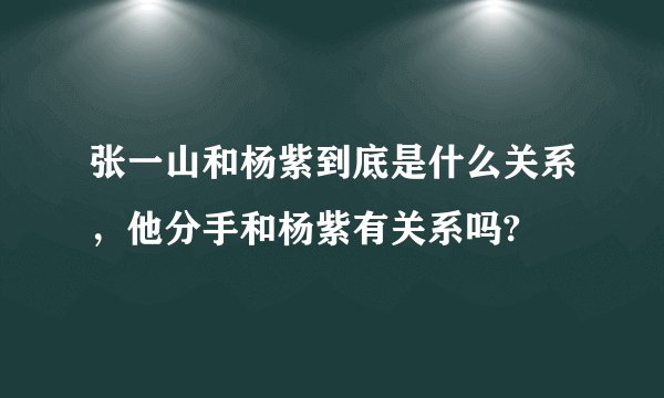 张一山和杨紫到底是什么关系,他分手和杨紫有关系吗?
