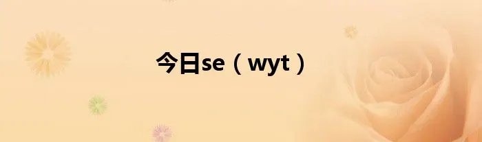 今日se（wyt）