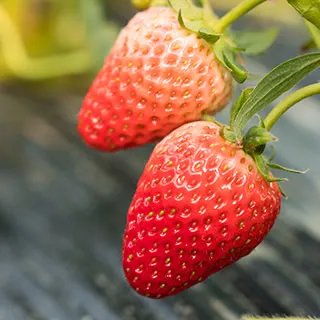 【公司旅游】公司团队游目的地_集体团建好去处_公司团建须知