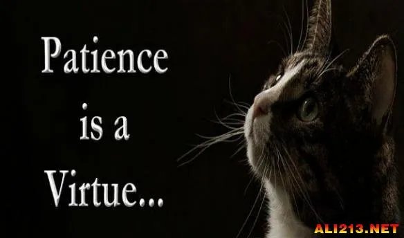 15个非常有趣的奇特网站 它们将给你带来全新的体验