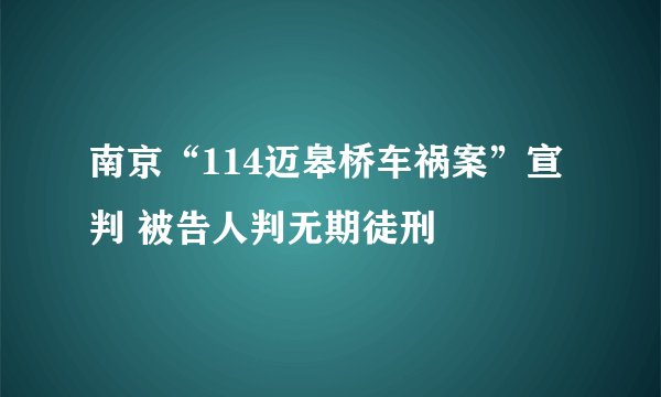 南京“114迈皋桥车祸案”宣判 被告人判无期徒刑
