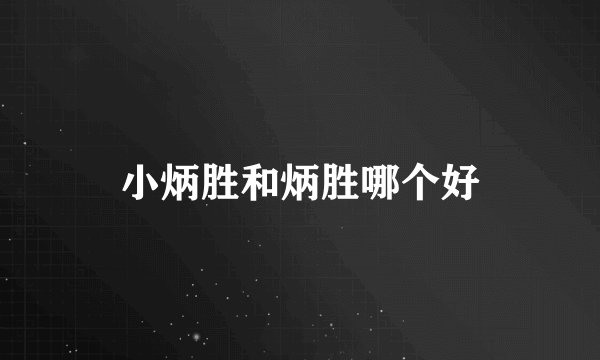 小炳胜和炳胜哪个好
