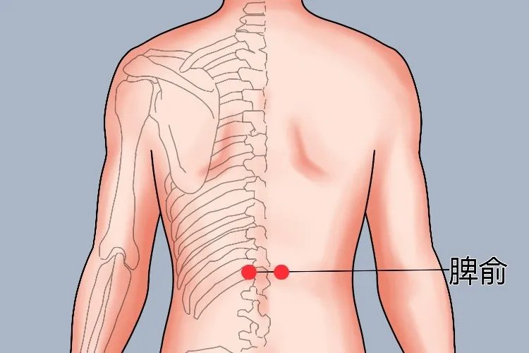 三伏贴祛湿贴在什么位置图