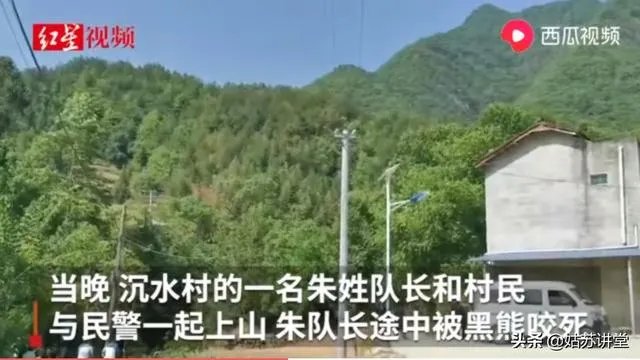 四川江油黑熊咬死3位村民,如何看待黑熊频频伤人事件?