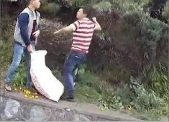 货车侧翻蜜桔遭抢 货车司机阻拦被打