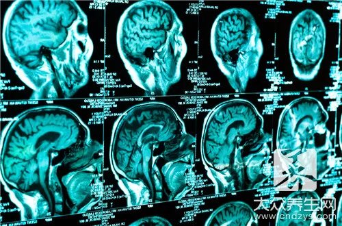 卡瑞利珠单抗说明书