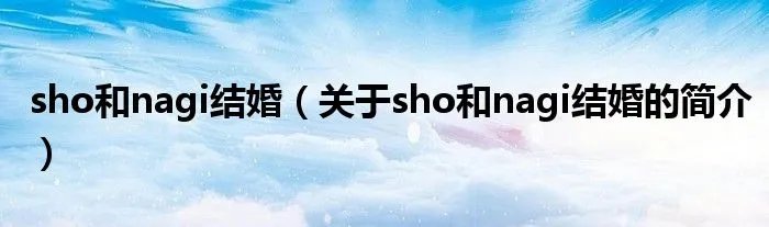 sho和nagi结婚（关于sho和nagi结婚的简介）