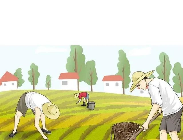 舒兰疫情后，现在农民种地怎么办？