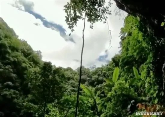 云南蒙自天坑发现百年未见植物 属于极危物种