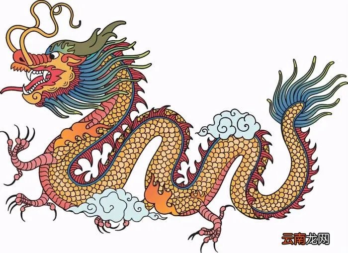 湖南一山洞发现真龙 真龙被首次发现组图