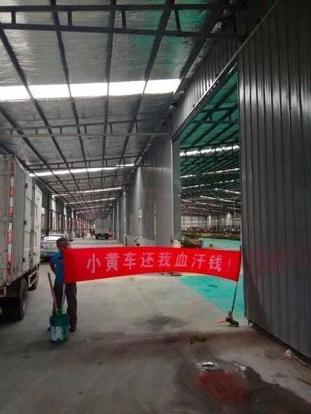 传ofo拖欠工资是怎么回事?