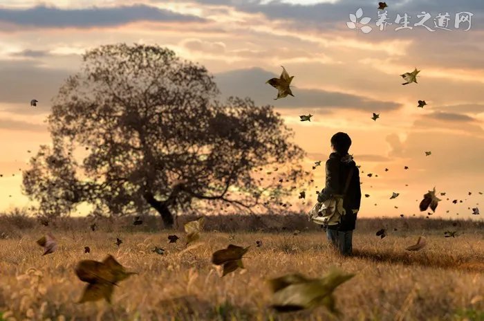 七旬老人走红网络 退休老人适合做什么事