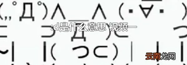 :d是什么意思 视频一