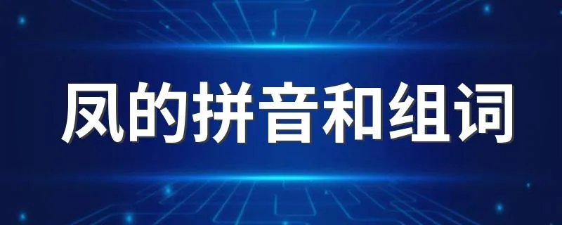 凤的拼音和组词 汉字凤的拼音和组词