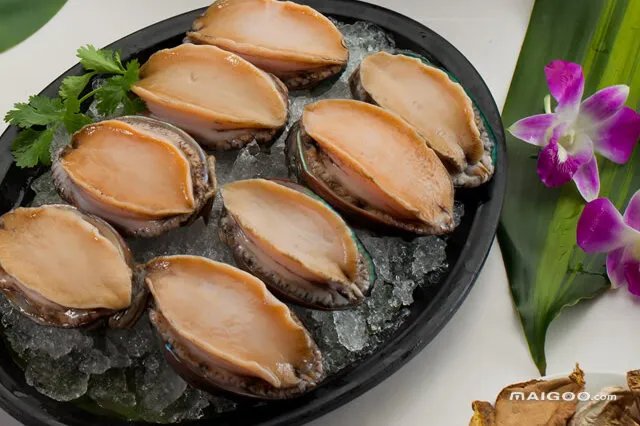 一般鲍鱼多少钱一斤 鲍鱼10元一只贵吗