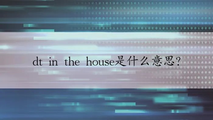 dt in the house是什么意思？