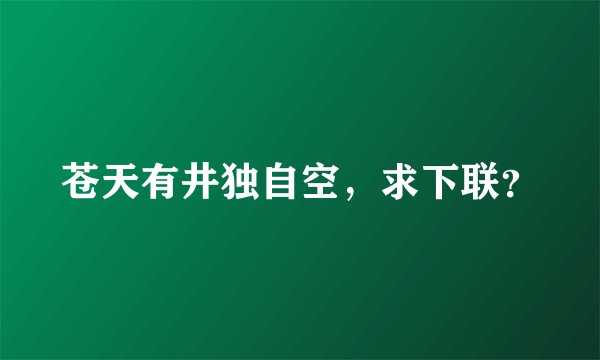 苍天有井独自空，求下联？