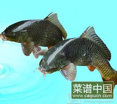 煮米饭加一物更香更松软99%人不知(图文)