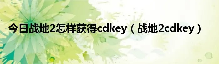 今日战地2怎样获得cdkey(战地2cdkey)