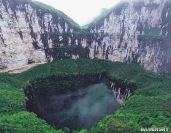 云南蒙自天坑发现百年未见植物 属于极危物种