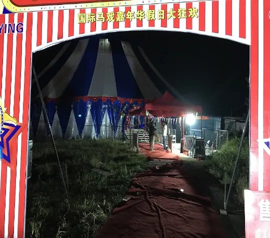 马戏团什么原因致使幼虎出逃?