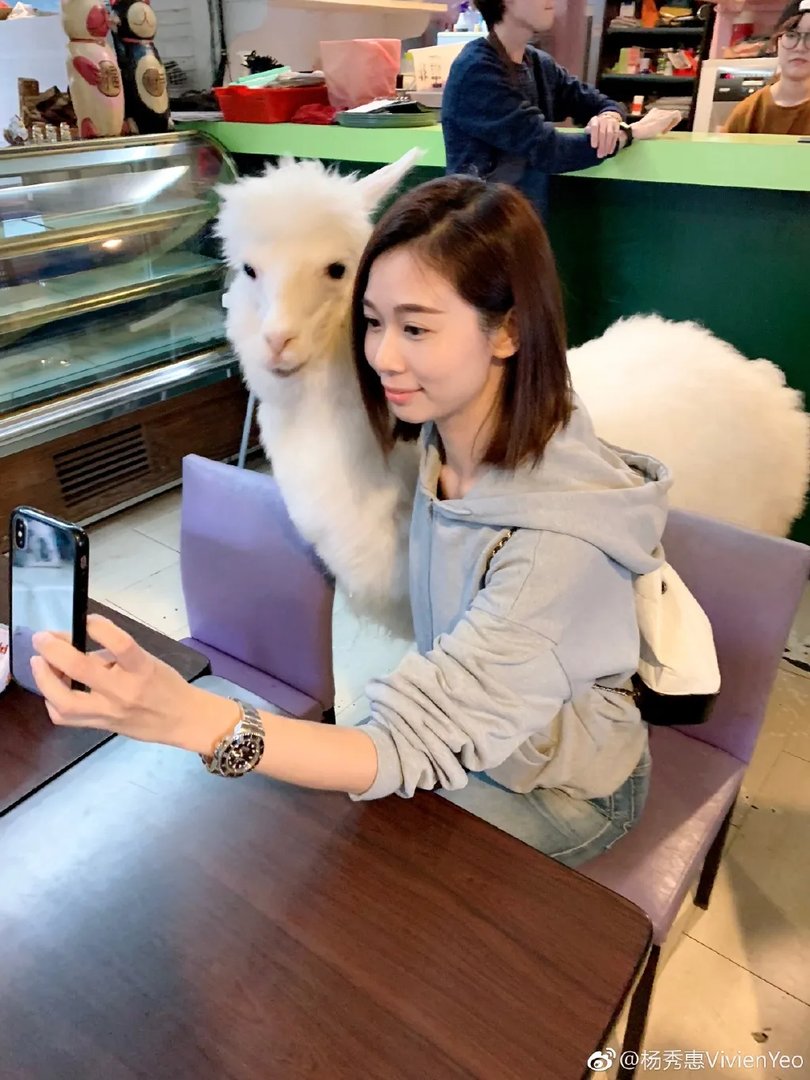 台湾艺人杨秀惠怎么变样了 嘴很难看长的很奇怪