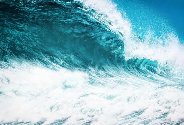 地球最北岛屿被意外发现  位于欧达克岛以北780米处