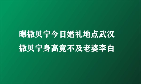 曝撒贝宁今日婚礼地点武汉 撒贝宁身高竟不及老婆李白